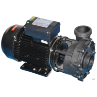 LX Hydromassage / Whirlpool LP250 spa pump - single speed - 2.5hp